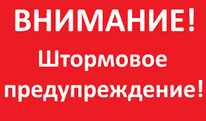 image 2022 08 18