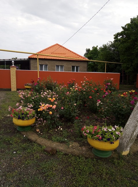 IMG 20210201 WA0033