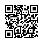 pushkinskaia karta qr